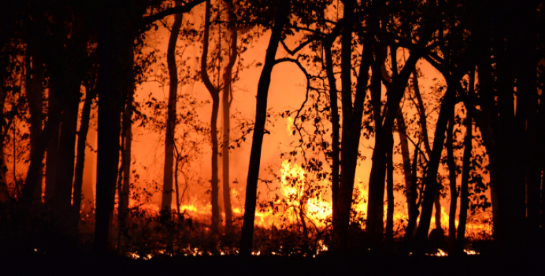 noticias_interna_750x365-artigo-queimada