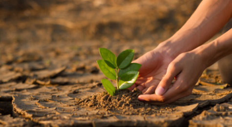 Participe do seminário “Está Chegando o Verão: Mudanças climáticas, urbanização e vulnerabilidades – impactos no curto prazo”